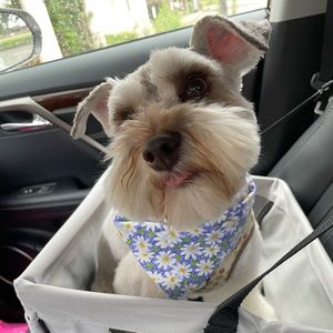 Meet your Posher, Renee